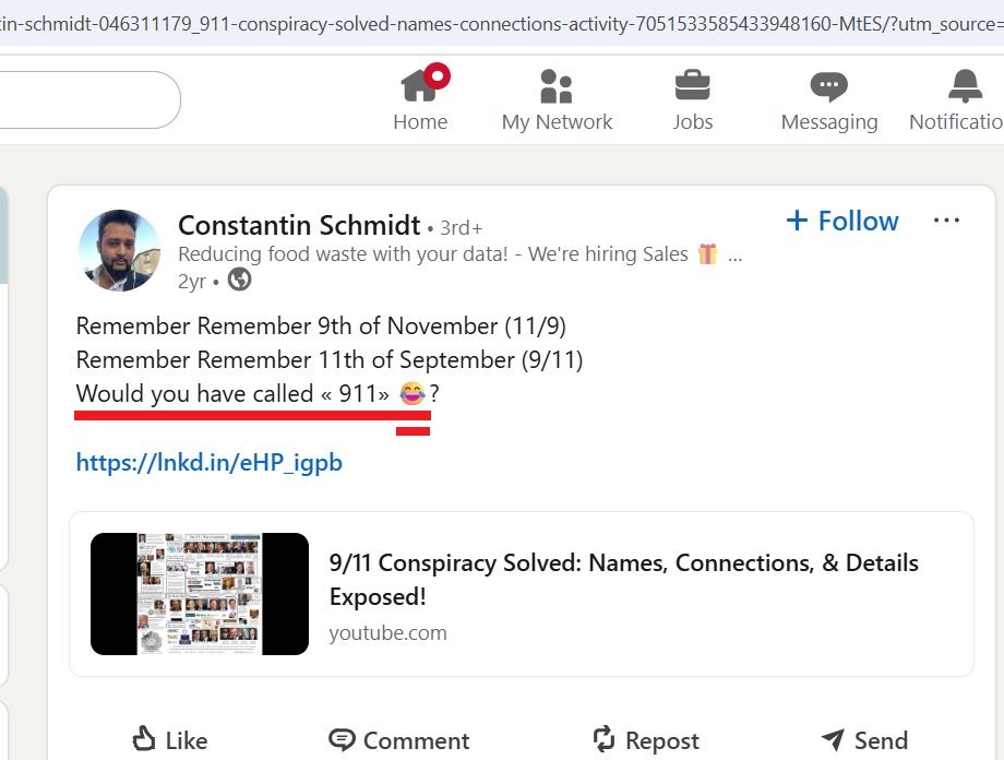 Schmidt_Constantin_001__Laughs_at_9_11__001__-Linkedin.jpg